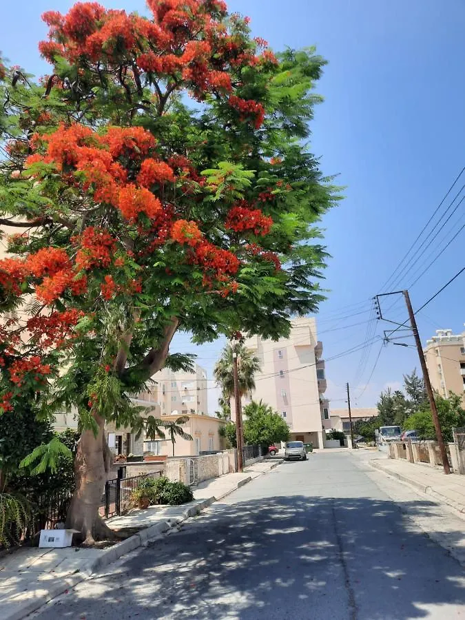 Large Apt 2 Bedrooms Sea View & 2 Balconies Larnaca 0*,  Cyprus